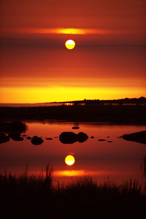 Besök i sommarstugan