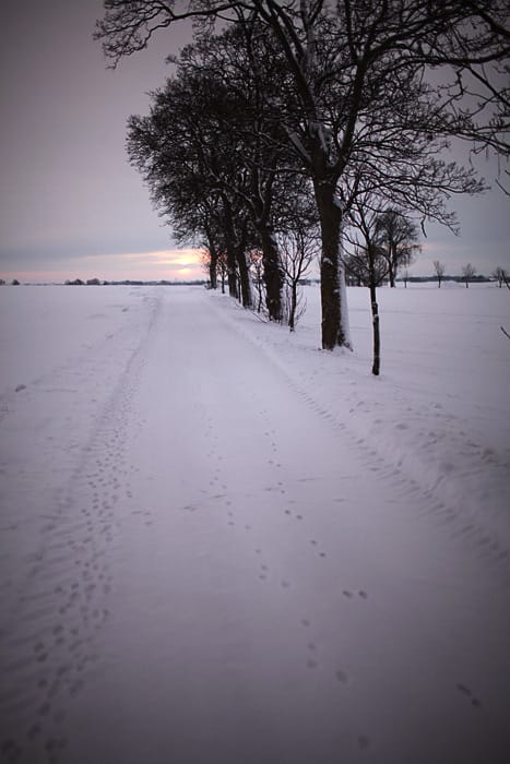 Gedigen vinter