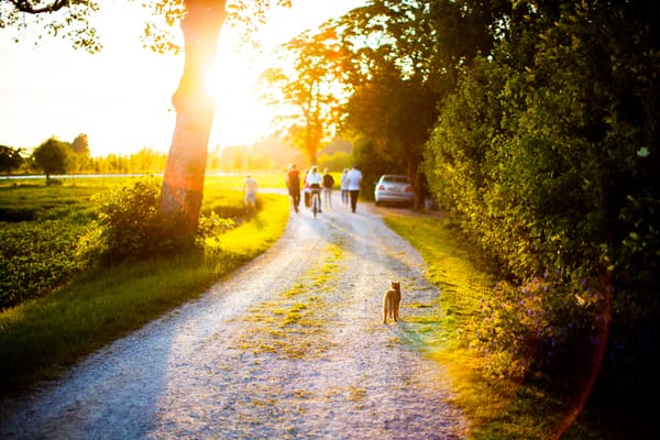 Sommarkväll
