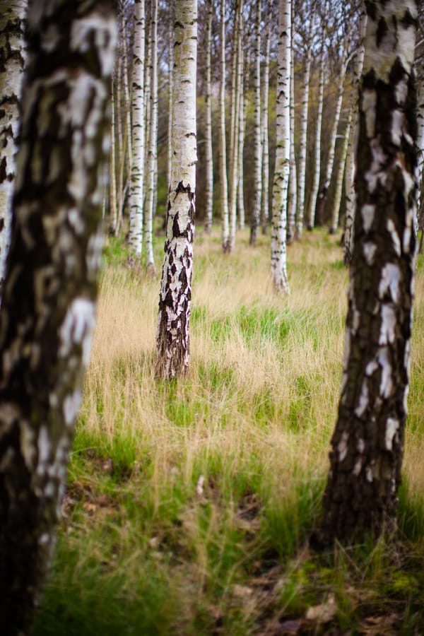 Natur