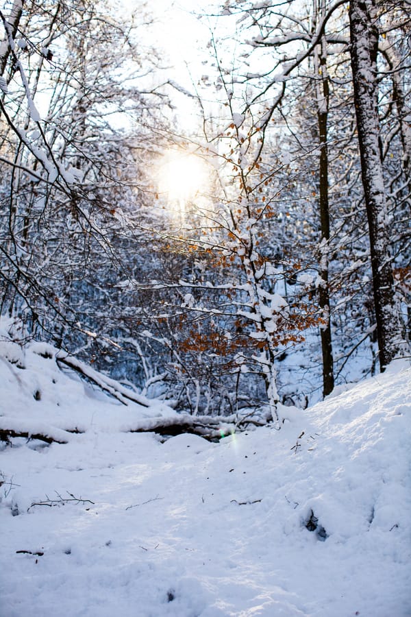 Snö på söderåsen